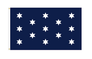 Washington's Commander-In-Chief Flag