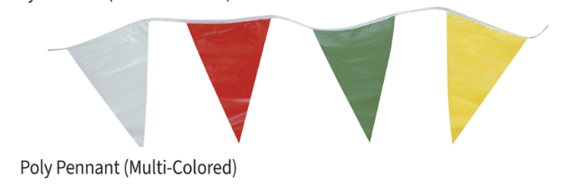 Multi-Colored Pennant String