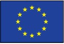 EUROPEAN UNION NYLON FLAG (2x3' - 5x8')