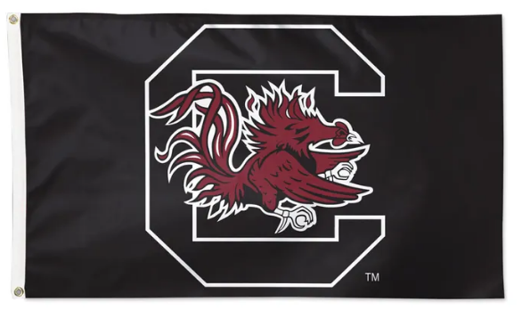 South Caroling Gamecocks