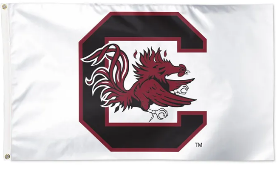 South Caroling Gamecocks