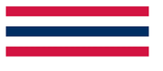 Fans and Bunting - Flags Unlimited