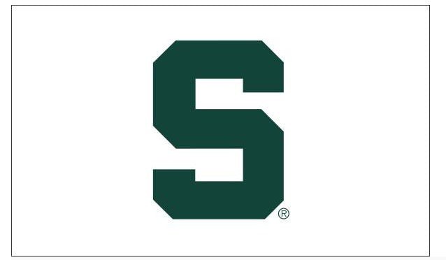 Michigan State University (MSU) White w/ Green Block S - Flags Unlimited