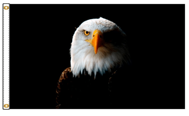Noble Eagle - Flags Unlimited