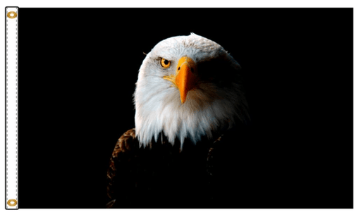 Noble Eagle - Flags Unlimited