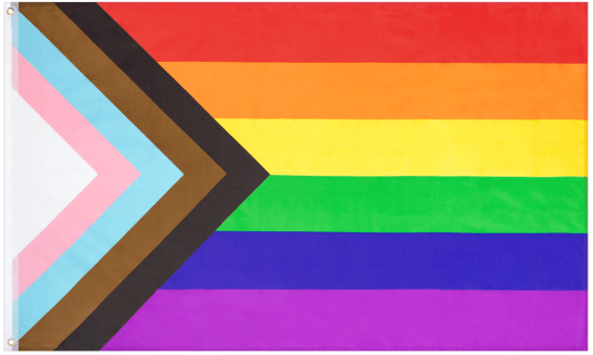 Progress Pride Outdoor Nylon Flag - Flags Unlimited