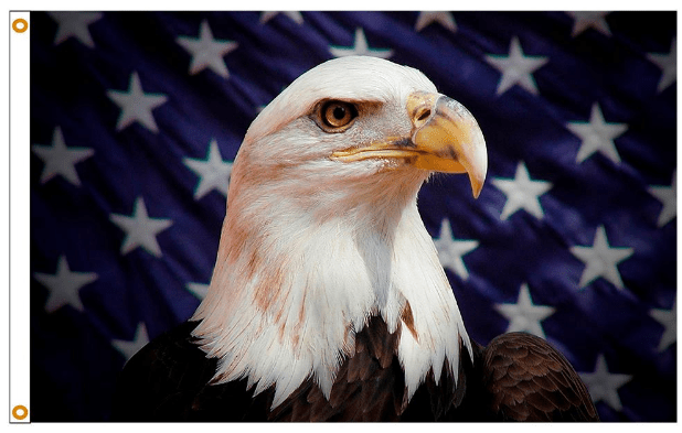 Starfield Eagle - Flags Unlimited
