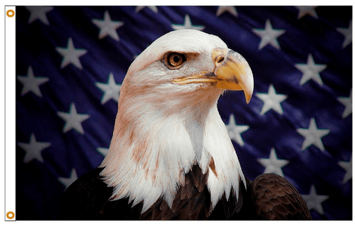 Starfield Eagle - Flags Unlimited