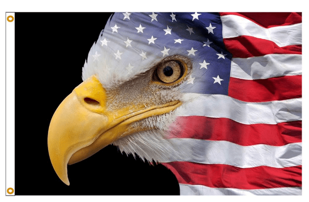USA Flag Eagle - Flags Unlimited