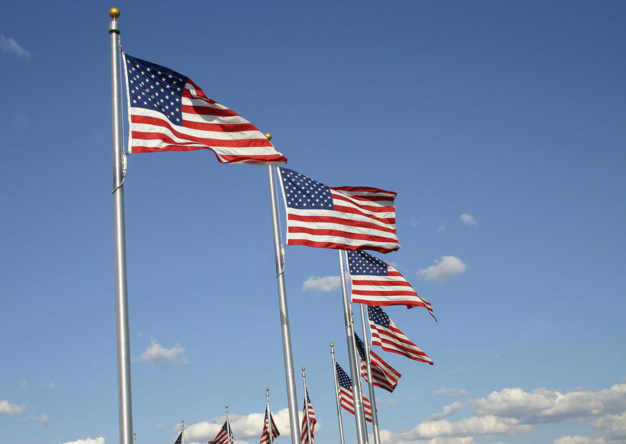 Elite Series (Vanguard) Internal Halyard Flagpoles