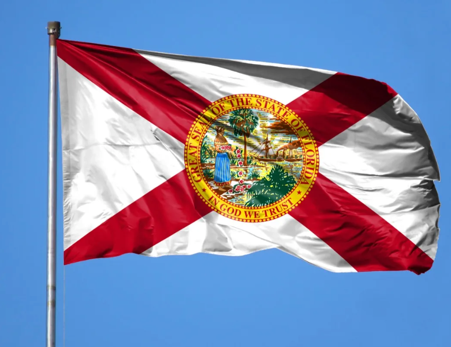 STATE OF FLORIDA NYLON & POLY-EXTRA FLAGS