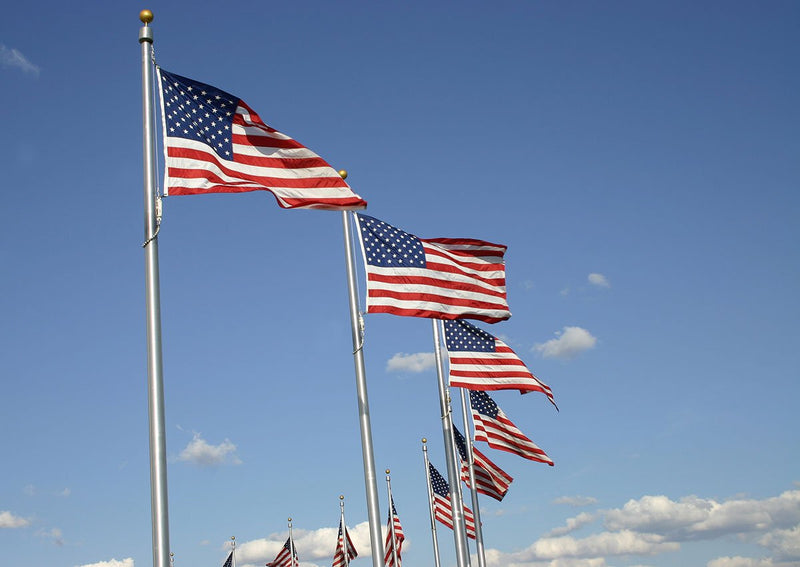 Elite Series (Vanguard) Internal Halyard Flagpoles - Flags Unlimited